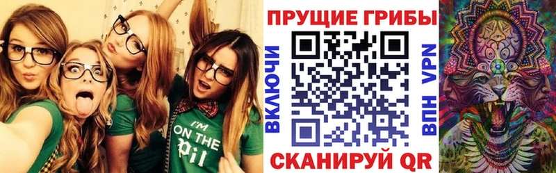 darknet телеграм  Новотитаровская  Галлюциногенные грибы MAGIC MUSHROOMS  продажа наркотиков 